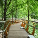 장태산자연휴양림 이미지