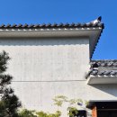 이화동산 이미지