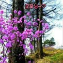 미소행복