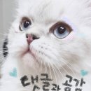 보글보글 찌개나라