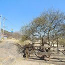 건평리 마을회관 이미지