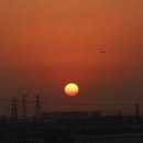 금돼지돈돼지 이미지