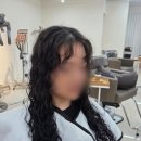 린다로니 이미지