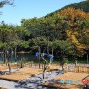 깊이울달빛캠핑장 - 1006 | 깊이울달빛캠핑장