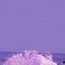 연보라(주) 이미지