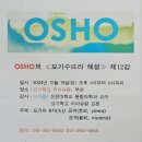 무장해제 | [공지] 8지요가 - 무장 해제의 과정/ 이거룡 교수님 특강 후기(2024. 10. 19)