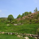 청춘목장 이미지