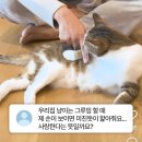 우리그루밍 이미지