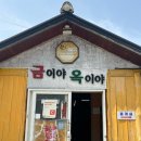 [ 속초 ] 내돈내산 속초 맛집 솔직 후기 :: 금이야 옥이야