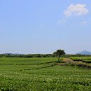 설록원 - 경주시 중앙로34번길 7 | 설록원