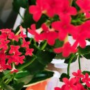 칸트공인중개사사무소 이미지