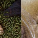 노른자카페 이미지