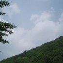 지리산흙돼지 Daum카페