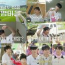우리 똥강아지 뉴스엔
