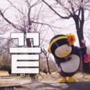 우리동네 체육관 아산점 이미지