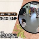 한미르 태권도장 이미지