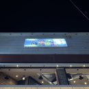 부산 광안리술집 백골뱅이탕 말고 생새우 먹은 찐 후기