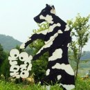 건강목장 이미지