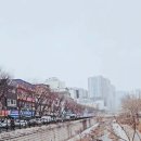 소양강메기매운탕 이미지