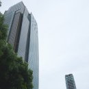 한화빌딩(구 용주빌딩) | 도쿄 히노키초 일본정원｜롯폰기 가볼만한곳 미드타운 공원 산책