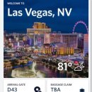 (주)카퍼스트 | 미네소타에서 라스베가스 미국 국내선 델타항공 수하물 이용 후기