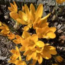 오늘은봄날 이미지