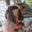 석원농장 이미지