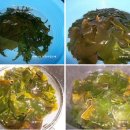 미역오이냉국,멸치볶음,감자다시마조림 이미지