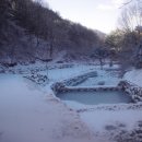 푸른산농원 이미지