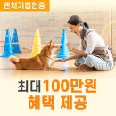 도그마루 강아지고양이 청주점 이미지
