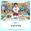 IQ EQ 쑥쑥 종이접기 교실 | 두 돌 아기 유아전집 추천!블루래빗 생생자연관찰전집 언박싱 후기