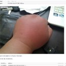 마인갤러리