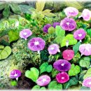 수채화B 이미지