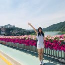 병규돈가스강변역점 | 대교, 고수동굴 / 패러글라이딩 / 도담상봉 / 단양 구경시장 (여행 코스 추천, 패러글라이딩 리얼 후기 ) ✨
