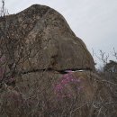 질재로 1 이미지