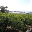 남원읍-25 이미지