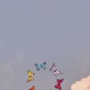 라인스튜디오 이미지