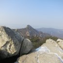 어해수산 Daum카페
