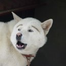 고치고 이미지