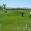 파크골프 이미지