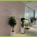 엘시티리턴의원 이미지