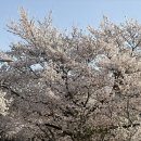 덕풍천동로 네이버블로그
