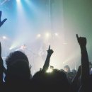 메리골드 꽃차의 효능과 부작용 이미지