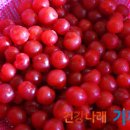 앵두청과 이미지