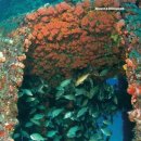 서해목장 이미지