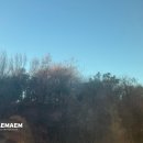 모텔더숲 이미지