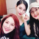바다가 이미지