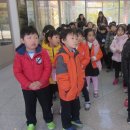 새빛솔금유치원 이미지