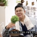 바질홀릭