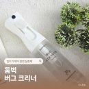 버그케어 | 가정 살충제 추천 둠벅 버그크리너 아기 방 진드기 제거 케어 후기